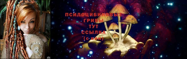 каннабис Медвежьегорск