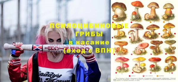 ГАЛЛЮЦИНОГЕННЫЕ ГРИБЫ Верея